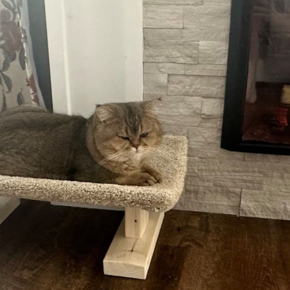 New Cat Bed For Over Registers; The Bedgister - Picture 9 of 12